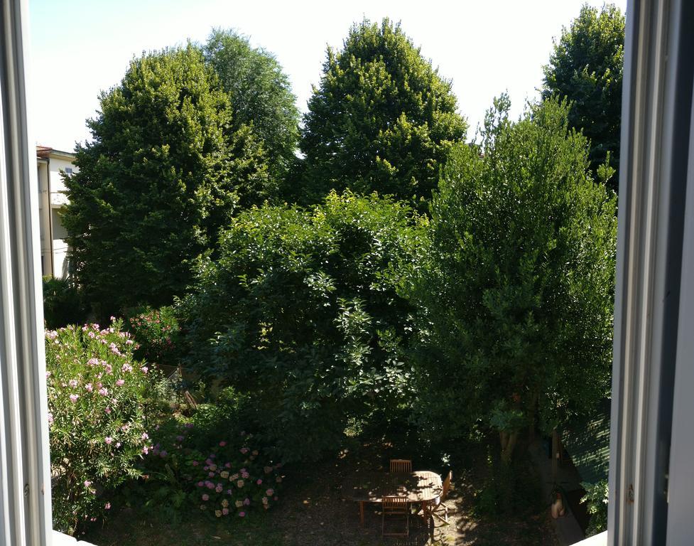 Superior Double or Twin Room,444401967:JPEG