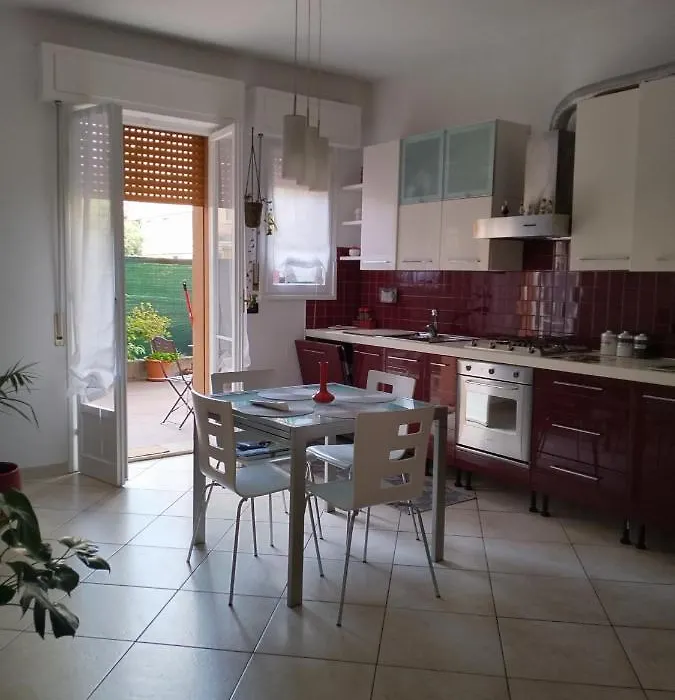 M. Bini B&B-1