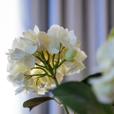 Pam Style Home-2