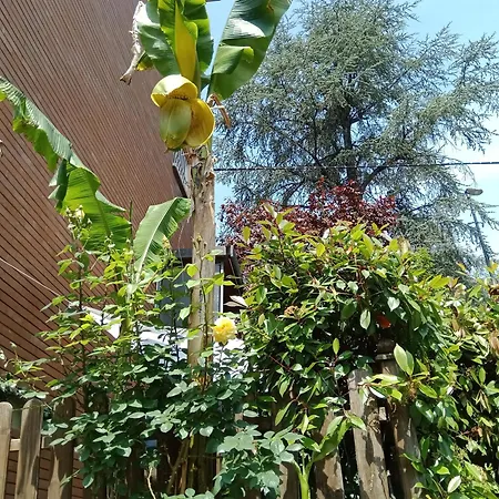 A Casa Di Gemma-2